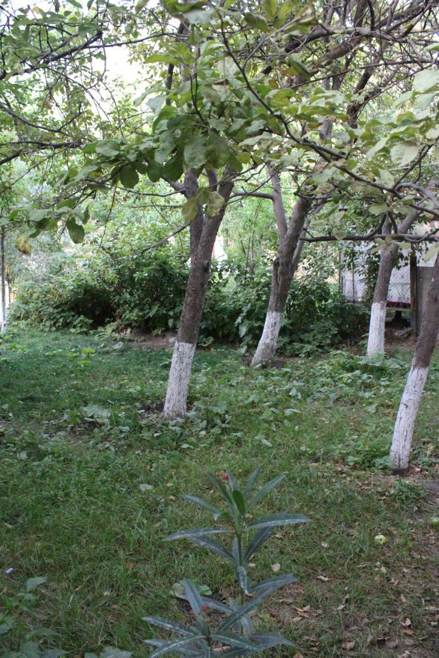 Riverside Khorog Exterior foto